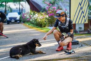 BIB: 
                            <button type="button" onclick="openModal(22470052)" class="btn btn-primary btn-sm float-right btn-popup" data-toggle="modal" data-target=".modal-high-quality">
                        <i class="fas fa-shopping-cart"></i> Add to Cart
                    </button>
                                            <button type="button" onclick="isThisMe(22470052, true)" class="btn btn-success btn-sm float-right btn-popup btn-isme hidden" data-toggle="tooltip" data-placement="bottom" title="นี่คือรูปของคุณใช่ไหม คลิกที่นี่เพื่อเอาเข้าอัลบั้ม">
                        <i class="fas fa-plus"></i> Add to album
                    </button>
                    <button type="button" onclick="isThisMe(22470052, false)" class="btn btn-warning btn-sm float-right btn-popup btn-isnotme hidden">
                        <i class="fas fa-ban"></i> Remove from album
                    </button>