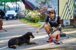 BIB: 
                            <button type="button" onclick="openModal(22470039)" class="btn btn-primary btn-sm float-right btn-popup" data-toggle="modal" data-target=".modal-high-quality">
                        <i class="fas fa-shopping-cart"></i> Add to Cart
                    </button>
                                            <button type="button" onclick="isThisMe(22470039, true)" class="btn btn-success btn-sm float-right btn-popup btn-isme hidden" data-toggle="tooltip" data-placement="bottom" title="นี่คือรูปของคุณใช่ไหม คลิกที่นี่เพื่อเอาเข้าอัลบั้ม">
                        <i class="fas fa-plus"></i> Add to album
                    </button>
                    <button type="button" onclick="isThisMe(22470039, false)" class="btn btn-warning btn-sm float-right btn-popup btn-isnotme hidden">
                        <i class="fas fa-ban"></i> Remove from album
                    </button>