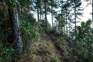 BIB: 
                            <button type="button" onclick="openModal(22284116)" class="btn btn-primary btn-sm float-right btn-popup" data-toggle="modal" data-target=".modal-high-quality">
                        <i class="fas fa-shopping-cart"></i> Add to Cart
                    </button>
                                            <button type="button" onclick="isThisMe(22284116, true)" class="btn btn-success btn-sm float-right btn-popup btn-isme hidden" data-toggle="tooltip" data-placement="bottom" title="นี่คือรูปของคุณใช่ไหม คลิกที่นี่เพื่อเอาเข้าอัลบั้ม">
                        <i class="fas fa-plus"></i> Add to album
                    </button>
                    <button type="button" onclick="isThisMe(22284116, false)" class="btn btn-warning btn-sm float-right btn-popup btn-isnotme hidden">
                        <i class="fas fa-ban"></i> Remove from album
                    </button>