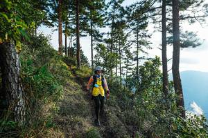 BIB: 
                            <button type="button" onclick="openModal(22284003)" class="btn btn-primary btn-sm float-right btn-popup" data-toggle="modal" data-target=".modal-high-quality">
                        <i class="fas fa-shopping-cart"></i> Add to Cart
                    </button>
                                            <button type="button" onclick="isThisMe(22284003, true)" class="btn btn-success btn-sm float-right btn-popup btn-isme hidden" data-toggle="tooltip" data-placement="bottom" title="นี่คือรูปของคุณใช่ไหม คลิกที่นี่เพื่อเอาเข้าอัลบั้ม">
                        <i class="fas fa-plus"></i> Add to album
                    </button>
                    <button type="button" onclick="isThisMe(22284003, false)" class="btn btn-warning btn-sm float-right btn-popup btn-isnotme hidden">
                        <i class="fas fa-ban"></i> Remove from album
                    </button>