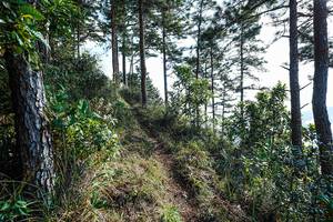 BIB: 
                            <button type="button" onclick="openModal(22284122)" class="btn btn-primary btn-sm float-right btn-popup" data-toggle="modal" data-target=".modal-high-quality">
                        <i class="fas fa-shopping-cart"></i> Add to Cart
                    </button>
                                            <button type="button" onclick="isThisMe(22284122, true)" class="btn btn-success btn-sm float-right btn-popup btn-isme hidden" data-toggle="tooltip" data-placement="bottom" title="นี่คือรูปของคุณใช่ไหม คลิกที่นี่เพื่อเอาเข้าอัลบั้ม">
                        <i class="fas fa-plus"></i> Add to album
                    </button>
                    <button type="button" onclick="isThisMe(22284122, false)" class="btn btn-warning btn-sm float-right btn-popup btn-isnotme hidden">
                        <i class="fas fa-ban"></i> Remove from album
                    </button>