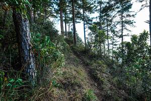 BIB: 
                            <button type="button" onclick="openModal(22284118)" class="btn btn-primary btn-sm float-right btn-popup" data-toggle="modal" data-target=".modal-high-quality">
                        <i class="fas fa-shopping-cart"></i> Add to Cart
                    </button>
                                            <button type="button" onclick="isThisMe(22284118, true)" class="btn btn-success btn-sm float-right btn-popup btn-isme hidden" data-toggle="tooltip" data-placement="bottom" title="นี่คือรูปของคุณใช่ไหม คลิกที่นี่เพื่อเอาเข้าอัลบั้ม">
                        <i class="fas fa-plus"></i> Add to album
                    </button>
                    <button type="button" onclick="isThisMe(22284118, false)" class="btn btn-warning btn-sm float-right btn-popup btn-isnotme hidden">
                        <i class="fas fa-ban"></i> Remove from album
                    </button>