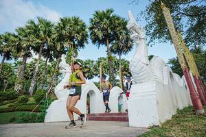 BIB: 
                            <button type="button" onclick="openModal(22493319)" class="btn btn-primary btn-sm float-right btn-popup" data-toggle="modal" data-target=".modal-high-quality">
                        <i class="fas fa-shopping-cart"></i> Add to Cart
                    </button>
                                            <button type="button" onclick="isThisMe(22493319, true)" class="btn btn-success btn-sm float-right btn-popup btn-isme hidden" data-toggle="tooltip" data-placement="bottom" title="นี่คือรูปของคุณใช่ไหม คลิกที่นี่เพื่อเอาเข้าอัลบั้ม">
                        <i class="fas fa-plus"></i> Add to album
                    </button>
                    <button type="button" onclick="isThisMe(22493319, false)" class="btn btn-warning btn-sm float-right btn-popup btn-isnotme hidden">
                        <i class="fas fa-ban"></i> Remove from album
                    </button>