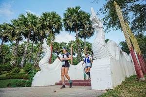 BIB: 
                            <button type="button" onclick="openModal(22493540)" class="btn btn-primary btn-sm float-right btn-popup" data-toggle="modal" data-target=".modal-high-quality">
                        <i class="fas fa-shopping-cart"></i> Add to Cart
                    </button>
                                            <button type="button" onclick="isThisMe(22493540, true)" class="btn btn-success btn-sm float-right btn-popup btn-isme hidden" data-toggle="tooltip" data-placement="bottom" title="นี่คือรูปของคุณใช่ไหม คลิกที่นี่เพื่อเอาเข้าอัลบั้ม">
                        <i class="fas fa-plus"></i> Add to album
                    </button>
                    <button type="button" onclick="isThisMe(22493540, false)" class="btn btn-warning btn-sm float-right btn-popup btn-isnotme hidden">
                        <i class="fas fa-ban"></i> Remove from album
                    </button>