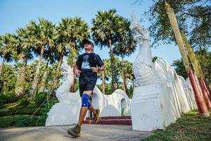 BIB: 2911
                            <button type="button" onclick="openModal(22491694)" class="btn btn-primary btn-sm float-right btn-popup" data-toggle="modal" data-target=".modal-high-quality">
                        <i class="fas fa-shopping-cart"></i> Add to Cart
                    </button>
                                            <button type="button" onclick="isThisMe(22491694, true)" class="btn btn-success btn-sm float-right btn-popup btn-isme hidden" data-toggle="tooltip" data-placement="bottom" title="นี่คือรูปของคุณใช่ไหม คลิกที่นี่เพื่อเอาเข้าอัลบั้ม">
                        <i class="fas fa-plus"></i> Add to album
                    </button>
                    <button type="button" onclick="isThisMe(22491694, false)" class="btn btn-warning btn-sm float-right btn-popup btn-isnotme hidden">
                        <i class="fas fa-ban"></i> Remove from album
                    </button>