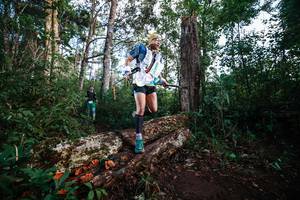 BIB: 
                            <button type="button" onclick="openModal(22367446)" class="btn btn-primary btn-sm float-right btn-popup" data-toggle="modal" data-target=".modal-high-quality">
                        <i class="fas fa-shopping-cart"></i> Add to Cart
                    </button>
                                            <button type="button" onclick="isThisMe(22367446, true)" class="btn btn-success btn-sm float-right btn-popup btn-isme hidden" data-toggle="tooltip" data-placement="bottom" title="นี่คือรูปของคุณใช่ไหม คลิกที่นี่เพื่อเอาเข้าอัลบั้ม">
                        <i class="fas fa-plus"></i> Add to album
                    </button>
                    <button type="button" onclick="isThisMe(22367446, false)" class="btn btn-warning btn-sm float-right btn-popup btn-isnotme hidden">
                        <i class="fas fa-ban"></i> Remove from album
                    </button>