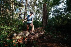 BIB: 
                            <button type="button" onclick="openModal(22367706)" class="btn btn-primary btn-sm float-right btn-popup" data-toggle="modal" data-target=".modal-high-quality">
                        <i class="fas fa-shopping-cart"></i> Add to Cart
                    </button>
                                            <button type="button" onclick="isThisMe(22367706, true)" class="btn btn-success btn-sm float-right btn-popup btn-isme hidden" data-toggle="tooltip" data-placement="bottom" title="นี่คือรูปของคุณใช่ไหม คลิกที่นี่เพื่อเอาเข้าอัลบั้ม">
                        <i class="fas fa-plus"></i> Add to album
                    </button>
                    <button type="button" onclick="isThisMe(22367706, false)" class="btn btn-warning btn-sm float-right btn-popup btn-isnotme hidden">
                        <i class="fas fa-ban"></i> Remove from album
                    </button>