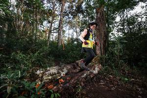 BIB: 
                            <button type="button" onclick="openModal(22369458)" class="btn btn-primary btn-sm float-right btn-popup" data-toggle="modal" data-target=".modal-high-quality">
                        <i class="fas fa-shopping-cart"></i> Add to Cart
                    </button>
                                            <button type="button" onclick="isThisMe(22369458, true)" class="btn btn-success btn-sm float-right btn-popup btn-isme hidden" data-toggle="tooltip" data-placement="bottom" title="นี่คือรูปของคุณใช่ไหม คลิกที่นี่เพื่อเอาเข้าอัลบั้ม">
                        <i class="fas fa-plus"></i> Add to album
                    </button>
                    <button type="button" onclick="isThisMe(22369458, false)" class="btn btn-warning btn-sm float-right btn-popup btn-isnotme hidden">
                        <i class="fas fa-ban"></i> Remove from album
                    </button>