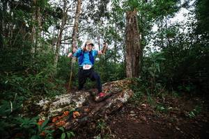 BIB: 8181
                            <button type="button" onclick="openModal(22368943)" class="btn btn-primary btn-sm float-right btn-popup" data-toggle="modal" data-target=".modal-high-quality">
                        <i class="fas fa-shopping-cart"></i> Add to Cart
                    </button>
                                            <button type="button" onclick="isThisMe(22368943, true)" class="btn btn-success btn-sm float-right btn-popup btn-isme hidden" data-toggle="tooltip" data-placement="bottom" title="นี่คือรูปของคุณใช่ไหม คลิกที่นี่เพื่อเอาเข้าอัลบั้ม">
                        <i class="fas fa-plus"></i> Add to album
                    </button>
                    <button type="button" onclick="isThisMe(22368943, false)" class="btn btn-warning btn-sm float-right btn-popup btn-isnotme hidden">
                        <i class="fas fa-ban"></i> Remove from album
                    </button>