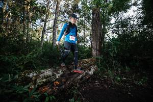 BIB: 8299
                            <button type="button" onclick="openModal(22369326)" class="btn btn-primary btn-sm float-right btn-popup" data-toggle="modal" data-target=".modal-high-quality">
                        <i class="fas fa-shopping-cart"></i> Add to Cart
                    </button>
                                            <button type="button" onclick="isThisMe(22369326, true)" class="btn btn-success btn-sm float-right btn-popup btn-isme hidden" data-toggle="tooltip" data-placement="bottom" title="นี่คือรูปของคุณใช่ไหม คลิกที่นี่เพื่อเอาเข้าอัลบั้ม">
                        <i class="fas fa-plus"></i> Add to album
                    </button>
                    <button type="button" onclick="isThisMe(22369326, false)" class="btn btn-warning btn-sm float-right btn-popup btn-isnotme hidden">
                        <i class="fas fa-ban"></i> Remove from album
                    </button>