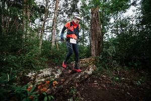 BIB: 
                            <button type="button" onclick="openModal(22369044)" class="btn btn-primary btn-sm float-right btn-popup" data-toggle="modal" data-target=".modal-high-quality">
                        <i class="fas fa-shopping-cart"></i> Add to Cart
                    </button>
                                            <button type="button" onclick="isThisMe(22369044, true)" class="btn btn-success btn-sm float-right btn-popup btn-isme hidden" data-toggle="tooltip" data-placement="bottom" title="นี่คือรูปของคุณใช่ไหม คลิกที่นี่เพื่อเอาเข้าอัลบั้ม">
                        <i class="fas fa-plus"></i> Add to album
                    </button>
                    <button type="button" onclick="isThisMe(22369044, false)" class="btn btn-warning btn-sm float-right btn-popup btn-isnotme hidden">
                        <i class="fas fa-ban"></i> Remove from album
                    </button>