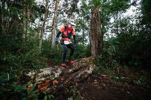 BIB: 
                            <button type="button" onclick="openModal(22369041)" class="btn btn-primary btn-sm float-right btn-popup" data-toggle="modal" data-target=".modal-high-quality">
                        <i class="fas fa-shopping-cart"></i> Add to Cart
                    </button>
                                            <button type="button" onclick="isThisMe(22369041, true)" class="btn btn-success btn-sm float-right btn-popup btn-isme hidden" data-toggle="tooltip" data-placement="bottom" title="นี่คือรูปของคุณใช่ไหม คลิกที่นี่เพื่อเอาเข้าอัลบั้ม">
                        <i class="fas fa-plus"></i> Add to album
                    </button>
                    <button type="button" onclick="isThisMe(22369041, false)" class="btn btn-warning btn-sm float-right btn-popup btn-isnotme hidden">
                        <i class="fas fa-ban"></i> Remove from album
                    </button>