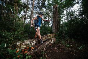 BIB: 
                            <button type="button" onclick="openModal(22369191)" class="btn btn-primary btn-sm float-right btn-popup" data-toggle="modal" data-target=".modal-high-quality">
                        <i class="fas fa-shopping-cart"></i> Add to Cart
                    </button>
                                            <button type="button" onclick="isThisMe(22369191, true)" class="btn btn-success btn-sm float-right btn-popup btn-isme hidden" data-toggle="tooltip" data-placement="bottom" title="นี่คือรูปของคุณใช่ไหม คลิกที่นี่เพื่อเอาเข้าอัลบั้ม">
                        <i class="fas fa-plus"></i> Add to album
                    </button>
                    <button type="button" onclick="isThisMe(22369191, false)" class="btn btn-warning btn-sm float-right btn-popup btn-isnotme hidden">
                        <i class="fas fa-ban"></i> Remove from album
                    </button>