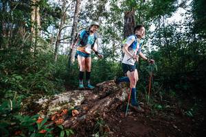 BIB: 
                            <button type="button" onclick="openModal(22367615)" class="btn btn-primary btn-sm float-right btn-popup" data-toggle="modal" data-target=".modal-high-quality">
                        <i class="fas fa-shopping-cart"></i> Add to Cart
                    </button>
                                            <button type="button" onclick="isThisMe(22367615, true)" class="btn btn-success btn-sm float-right btn-popup btn-isme hidden" data-toggle="tooltip" data-placement="bottom" title="นี่คือรูปของคุณใช่ไหม คลิกที่นี่เพื่อเอาเข้าอัลบั้ม">
                        <i class="fas fa-plus"></i> Add to album
                    </button>
                    <button type="button" onclick="isThisMe(22367615, false)" class="btn btn-warning btn-sm float-right btn-popup btn-isnotme hidden">
                        <i class="fas fa-ban"></i> Remove from album
                    </button>