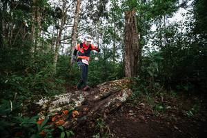 BIB: 
                            <button type="button" onclick="openModal(22369031)" class="btn btn-primary btn-sm float-right btn-popup" data-toggle="modal" data-target=".modal-high-quality">
                        <i class="fas fa-shopping-cart"></i> Add to Cart
                    </button>
                                            <button type="button" onclick="isThisMe(22369031, true)" class="btn btn-success btn-sm float-right btn-popup btn-isme hidden" data-toggle="tooltip" data-placement="bottom" title="นี่คือรูปของคุณใช่ไหม คลิกที่นี่เพื่อเอาเข้าอัลบั้ม">
                        <i class="fas fa-plus"></i> Add to album
                    </button>
                    <button type="button" onclick="isThisMe(22369031, false)" class="btn btn-warning btn-sm float-right btn-popup btn-isnotme hidden">
                        <i class="fas fa-ban"></i> Remove from album
                    </button>