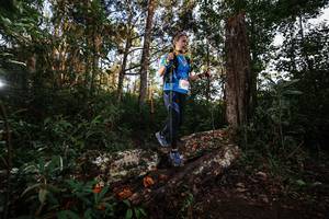 BIB: 
                            <button type="button" onclick="openModal(22369403)" class="btn btn-primary btn-sm float-right btn-popup" data-toggle="modal" data-target=".modal-high-quality">
                        <i class="fas fa-shopping-cart"></i> Add to Cart
                    </button>
                                            <button type="button" onclick="isThisMe(22369403, true)" class="btn btn-success btn-sm float-right btn-popup btn-isme hidden" data-toggle="tooltip" data-placement="bottom" title="นี่คือรูปของคุณใช่ไหม คลิกที่นี่เพื่อเอาเข้าอัลบั้ม">
                        <i class="fas fa-plus"></i> Add to album
                    </button>
                    <button type="button" onclick="isThisMe(22369403, false)" class="btn btn-warning btn-sm float-right btn-popup btn-isnotme hidden">
                        <i class="fas fa-ban"></i> Remove from album
                    </button>