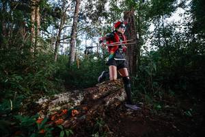 BIB: 
                            <button type="button" onclick="openModal(22367375)" class="btn btn-primary btn-sm float-right btn-popup" data-toggle="modal" data-target=".modal-high-quality">
                        <i class="fas fa-shopping-cart"></i> Add to Cart
                    </button>
                                            <button type="button" onclick="isThisMe(22367375, true)" class="btn btn-success btn-sm float-right btn-popup btn-isme hidden" data-toggle="tooltip" data-placement="bottom" title="นี่คือรูปของคุณใช่ไหม คลิกที่นี่เพื่อเอาเข้าอัลบั้ม">
                        <i class="fas fa-plus"></i> Add to album
                    </button>
                    <button type="button" onclick="isThisMe(22367375, false)" class="btn btn-warning btn-sm float-right btn-popup btn-isnotme hidden">
                        <i class="fas fa-ban"></i> Remove from album
                    </button>