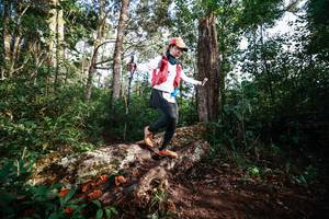 BIB: 
                            <button type="button" onclick="openModal(22368767)" class="btn btn-primary btn-sm float-right btn-popup" data-toggle="modal" data-target=".modal-high-quality">
                        <i class="fas fa-shopping-cart"></i> Add to Cart
                    </button>
                                            <button type="button" onclick="isThisMe(22368767, true)" class="btn btn-success btn-sm float-right btn-popup btn-isme hidden" data-toggle="tooltip" data-placement="bottom" title="นี่คือรูปของคุณใช่ไหม คลิกที่นี่เพื่อเอาเข้าอัลบั้ม">
                        <i class="fas fa-plus"></i> Add to album
                    </button>
                    <button type="button" onclick="isThisMe(22368767, false)" class="btn btn-warning btn-sm float-right btn-popup btn-isnotme hidden">
                        <i class="fas fa-ban"></i> Remove from album
                    </button>