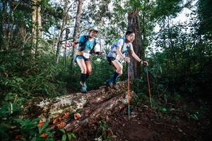 BIB: 
                            <button type="button" onclick="openModal(22367598)" class="btn btn-primary btn-sm float-right btn-popup" data-toggle="modal" data-target=".modal-high-quality">
                        <i class="fas fa-shopping-cart"></i> Add to Cart
                    </button>
                                            <button type="button" onclick="isThisMe(22367598, true)" class="btn btn-success btn-sm float-right btn-popup btn-isme hidden" data-toggle="tooltip" data-placement="bottom" title="นี่คือรูปของคุณใช่ไหม คลิกที่นี่เพื่อเอาเข้าอัลบั้ม">
                        <i class="fas fa-plus"></i> Add to album
                    </button>
                    <button type="button" onclick="isThisMe(22367598, false)" class="btn btn-warning btn-sm float-right btn-popup btn-isnotme hidden">
                        <i class="fas fa-ban"></i> Remove from album
                    </button>