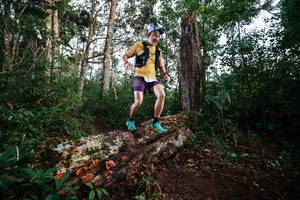 BIB: 
                            <button type="button" onclick="openModal(22368572)" class="btn btn-primary btn-sm float-right btn-popup" data-toggle="modal" data-target=".modal-high-quality">
                        <i class="fas fa-shopping-cart"></i> Add to Cart
                    </button>
                                            <button type="button" onclick="isThisMe(22368572, true)" class="btn btn-success btn-sm float-right btn-popup btn-isme hidden" data-toggle="tooltip" data-placement="bottom" title="นี่คือรูปของคุณใช่ไหม คลิกที่นี่เพื่อเอาเข้าอัลบั้ม">
                        <i class="fas fa-plus"></i> Add to album
                    </button>
                    <button type="button" onclick="isThisMe(22368572, false)" class="btn btn-warning btn-sm float-right btn-popup btn-isnotme hidden">
                        <i class="fas fa-ban"></i> Remove from album
                    </button>