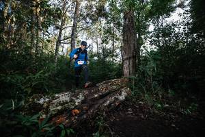 BIB: 
                            <button type="button" onclick="openModal(22369291)" class="btn btn-primary btn-sm float-right btn-popup" data-toggle="modal" data-target=".modal-high-quality">
                        <i class="fas fa-shopping-cart"></i> Add to Cart
                    </button>
                                            <button type="button" onclick="isThisMe(22369291, true)" class="btn btn-success btn-sm float-right btn-popup btn-isme hidden" data-toggle="tooltip" data-placement="bottom" title="นี่คือรูปของคุณใช่ไหม คลิกที่นี่เพื่อเอาเข้าอัลบั้ม">
                        <i class="fas fa-plus"></i> Add to album
                    </button>
                    <button type="button" onclick="isThisMe(22369291, false)" class="btn btn-warning btn-sm float-right btn-popup btn-isnotme hidden">
                        <i class="fas fa-ban"></i> Remove from album
                    </button>