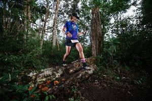 BIB: 
                            <button type="button" onclick="openModal(22369120)" class="btn btn-primary btn-sm float-right btn-popup" data-toggle="modal" data-target=".modal-high-quality">
                        <i class="fas fa-shopping-cart"></i> Add to Cart
                    </button>
                                            <button type="button" onclick="isThisMe(22369120, true)" class="btn btn-success btn-sm float-right btn-popup btn-isme hidden" data-toggle="tooltip" data-placement="bottom" title="นี่คือรูปของคุณใช่ไหม คลิกที่นี่เพื่อเอาเข้าอัลบั้ม">
                        <i class="fas fa-plus"></i> Add to album
                    </button>
                    <button type="button" onclick="isThisMe(22369120, false)" class="btn btn-warning btn-sm float-right btn-popup btn-isnotme hidden">
                        <i class="fas fa-ban"></i> Remove from album
                    </button>