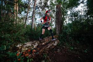 BIB: 
                            <button type="button" onclick="openModal(22367370)" class="btn btn-primary btn-sm float-right btn-popup" data-toggle="modal" data-target=".modal-high-quality">
                        <i class="fas fa-shopping-cart"></i> Add to Cart
                    </button>
                                            <button type="button" onclick="isThisMe(22367370, true)" class="btn btn-success btn-sm float-right btn-popup btn-isme hidden" data-toggle="tooltip" data-placement="bottom" title="นี่คือรูปของคุณใช่ไหม คลิกที่นี่เพื่อเอาเข้าอัลบั้ม">
                        <i class="fas fa-plus"></i> Add to album
                    </button>
                    <button type="button" onclick="isThisMe(22367370, false)" class="btn btn-warning btn-sm float-right btn-popup btn-isnotme hidden">
                        <i class="fas fa-ban"></i> Remove from album
                    </button>