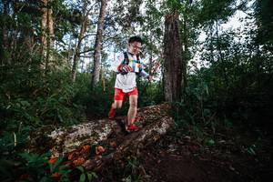 BIB: 
                            <button type="button" onclick="openModal(22367303)" class="btn btn-primary btn-sm float-right btn-popup" data-toggle="modal" data-target=".modal-high-quality">
                        <i class="fas fa-shopping-cart"></i> Add to Cart
                    </button>
                                            <button type="button" onclick="isThisMe(22367303, true)" class="btn btn-success btn-sm float-right btn-popup btn-isme hidden" data-toggle="tooltip" data-placement="bottom" title="นี่คือรูปของคุณใช่ไหม คลิกที่นี่เพื่อเอาเข้าอัลบั้ม">
                        <i class="fas fa-plus"></i> Add to album
                    </button>
                    <button type="button" onclick="isThisMe(22367303, false)" class="btn btn-warning btn-sm float-right btn-popup btn-isnotme hidden">
                        <i class="fas fa-ban"></i> Remove from album
                    </button>