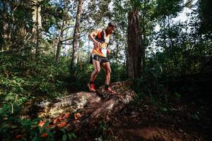 BIB: 
                            <button type="button" onclick="openModal(22367750)" class="btn btn-primary btn-sm float-right btn-popup" data-toggle="modal" data-target=".modal-high-quality">
                        <i class="fas fa-shopping-cart"></i> Add to Cart
                    </button>
                                            <button type="button" onclick="isThisMe(22367750, true)" class="btn btn-success btn-sm float-right btn-popup btn-isme hidden" data-toggle="tooltip" data-placement="bottom" title="นี่คือรูปของคุณใช่ไหม คลิกที่นี่เพื่อเอาเข้าอัลบั้ม">
                        <i class="fas fa-plus"></i> Add to album
                    </button>
                    <button type="button" onclick="isThisMe(22367750, false)" class="btn btn-warning btn-sm float-right btn-popup btn-isnotme hidden">
                        <i class="fas fa-ban"></i> Remove from album
                    </button>