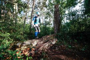 BIB: 
                            <button type="button" onclick="openModal(22367672)" class="btn btn-primary btn-sm float-right btn-popup" data-toggle="modal" data-target=".modal-high-quality">
                        <i class="fas fa-shopping-cart"></i> Add to Cart
                    </button>
                                            <button type="button" onclick="isThisMe(22367672, true)" class="btn btn-success btn-sm float-right btn-popup btn-isme hidden" data-toggle="tooltip" data-placement="bottom" title="นี่คือรูปของคุณใช่ไหม คลิกที่นี่เพื่อเอาเข้าอัลบั้ม">
                        <i class="fas fa-plus"></i> Add to album
                    </button>
                    <button type="button" onclick="isThisMe(22367672, false)" class="btn btn-warning btn-sm float-right btn-popup btn-isnotme hidden">
                        <i class="fas fa-ban"></i> Remove from album
                    </button>