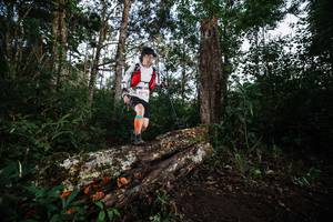 BIB: 
                            <button type="button" onclick="openModal(22369147)" class="btn btn-primary btn-sm float-right btn-popup" data-toggle="modal" data-target=".modal-high-quality">
                        <i class="fas fa-shopping-cart"></i> Add to Cart
                    </button>
                                            <button type="button" onclick="isThisMe(22369147, true)" class="btn btn-success btn-sm float-right btn-popup btn-isme hidden" data-toggle="tooltip" data-placement="bottom" title="นี่คือรูปของคุณใช่ไหม คลิกที่นี่เพื่อเอาเข้าอัลบั้ม">
                        <i class="fas fa-plus"></i> Add to album
                    </button>
                    <button type="button" onclick="isThisMe(22369147, false)" class="btn btn-warning btn-sm float-right btn-popup btn-isnotme hidden">
                        <i class="fas fa-ban"></i> Remove from album
                    </button>