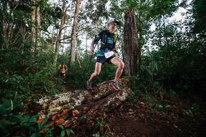 BIB: 2013
                            <button type="button" onclick="openModal(22368553)" class="btn btn-primary btn-sm float-right btn-popup" data-toggle="modal" data-target=".modal-high-quality">
                        <i class="fas fa-shopping-cart"></i> Add to Cart
                    </button>
                                            <button type="button" onclick="isThisMe(22368553, true)" class="btn btn-success btn-sm float-right btn-popup btn-isme hidden" data-toggle="tooltip" data-placement="bottom" title="นี่คือรูปของคุณใช่ไหม คลิกที่นี่เพื่อเอาเข้าอัลบั้ม">
                        <i class="fas fa-plus"></i> Add to album
                    </button>
                    <button type="button" onclick="isThisMe(22368553, false)" class="btn btn-warning btn-sm float-right btn-popup btn-isnotme hidden">
                        <i class="fas fa-ban"></i> Remove from album
                    </button>