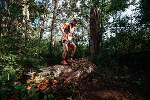 BIB: 
                            <button type="button" onclick="openModal(22367744)" class="btn btn-primary btn-sm float-right btn-popup" data-toggle="modal" data-target=".modal-high-quality">
                        <i class="fas fa-shopping-cart"></i> Add to Cart
                    </button>
                                            <button type="button" onclick="isThisMe(22367744, true)" class="btn btn-success btn-sm float-right btn-popup btn-isme hidden" data-toggle="tooltip" data-placement="bottom" title="นี่คือรูปของคุณใช่ไหม คลิกที่นี่เพื่อเอาเข้าอัลบั้ม">
                        <i class="fas fa-plus"></i> Add to album
                    </button>
                    <button type="button" onclick="isThisMe(22367744, false)" class="btn btn-warning btn-sm float-right btn-popup btn-isnotme hidden">
                        <i class="fas fa-ban"></i> Remove from album
                    </button>