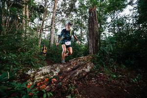 BIB: 8013
                            <button type="button" onclick="openModal(22368536)" class="btn btn-primary btn-sm float-right btn-popup" data-toggle="modal" data-target=".modal-high-quality">
                        <i class="fas fa-shopping-cart"></i> Add to Cart
                    </button>
                                            <button type="button" onclick="isThisMe(22368536, true)" class="btn btn-success btn-sm float-right btn-popup btn-isme hidden" data-toggle="tooltip" data-placement="bottom" title="นี่คือรูปของคุณใช่ไหม คลิกที่นี่เพื่อเอาเข้าอัลบั้ม">
                        <i class="fas fa-plus"></i> Add to album
                    </button>
                    <button type="button" onclick="isThisMe(22368536, false)" class="btn btn-warning btn-sm float-right btn-popup btn-isnotme hidden">
                        <i class="fas fa-ban"></i> Remove from album
                    </button>