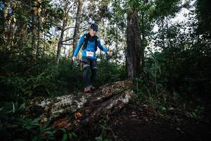 BIB: 
                            <button type="button" onclick="openModal(22369327)" class="btn btn-primary btn-sm float-right btn-popup" data-toggle="modal" data-target=".modal-high-quality">
                        <i class="fas fa-shopping-cart"></i> Add to Cart
                    </button>
                                            <button type="button" onclick="isThisMe(22369327, true)" class="btn btn-success btn-sm float-right btn-popup btn-isme hidden" data-toggle="tooltip" data-placement="bottom" title="นี่คือรูปของคุณใช่ไหม คลิกที่นี่เพื่อเอาเข้าอัลบั้ม">
                        <i class="fas fa-plus"></i> Add to album
                    </button>
                    <button type="button" onclick="isThisMe(22369327, false)" class="btn btn-warning btn-sm float-right btn-popup btn-isnotme hidden">
                        <i class="fas fa-ban"></i> Remove from album
                    </button>