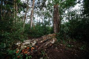 BIB: 
                            <button type="button" onclick="openModal(22368870)" class="btn btn-primary btn-sm float-right btn-popup" data-toggle="modal" data-target=".modal-high-quality">
                        <i class="fas fa-shopping-cart"></i> Add to Cart
                    </button>
                                            <button type="button" onclick="isThisMe(22368870, true)" class="btn btn-success btn-sm float-right btn-popup btn-isme hidden" data-toggle="tooltip" data-placement="bottom" title="นี่คือรูปของคุณใช่ไหม คลิกที่นี่เพื่อเอาเข้าอัลบั้ม">
                        <i class="fas fa-plus"></i> Add to album
                    </button>
                    <button type="button" onclick="isThisMe(22368870, false)" class="btn btn-warning btn-sm float-right btn-popup btn-isnotme hidden">
                        <i class="fas fa-ban"></i> Remove from album
                    </button>