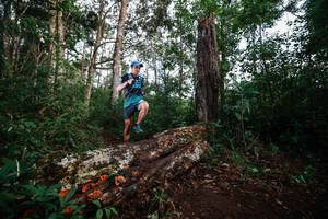 BIB: 
                            <button type="button" onclick="openModal(22368462)" class="btn btn-primary btn-sm float-right btn-popup" data-toggle="modal" data-target=".modal-high-quality">
                        <i class="fas fa-shopping-cart"></i> Add to Cart
                    </button>
                                            <button type="button" onclick="isThisMe(22368462, true)" class="btn btn-success btn-sm float-right btn-popup btn-isme hidden" data-toggle="tooltip" data-placement="bottom" title="นี่คือรูปของคุณใช่ไหม คลิกที่นี่เพื่อเอาเข้าอัลบั้ม">
                        <i class="fas fa-plus"></i> Add to album
                    </button>
                    <button type="button" onclick="isThisMe(22368462, false)" class="btn btn-warning btn-sm float-right btn-popup btn-isnotme hidden">
                        <i class="fas fa-ban"></i> Remove from album
                    </button>