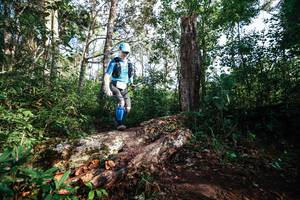 BIB: 
                            <button type="button" onclick="openModal(22367669)" class="btn btn-primary btn-sm float-right btn-popup" data-toggle="modal" data-target=".modal-high-quality">
                        <i class="fas fa-shopping-cart"></i> Add to Cart
                    </button>
                                            <button type="button" onclick="isThisMe(22367669, true)" class="btn btn-success btn-sm float-right btn-popup btn-isme hidden" data-toggle="tooltip" data-placement="bottom" title="นี่คือรูปของคุณใช่ไหม คลิกที่นี่เพื่อเอาเข้าอัลบั้ม">
                        <i class="fas fa-plus"></i> Add to album
                    </button>
                    <button type="button" onclick="isThisMe(22367669, false)" class="btn btn-warning btn-sm float-right btn-popup btn-isnotme hidden">
                        <i class="fas fa-ban"></i> Remove from album
                    </button>