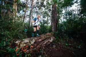 BIB: 
                            <button type="button" onclick="openModal(22367433)" class="btn btn-primary btn-sm float-right btn-popup" data-toggle="modal" data-target=".modal-high-quality">
                        <i class="fas fa-shopping-cart"></i> Add to Cart
                    </button>
                                            <button type="button" onclick="isThisMe(22367433, true)" class="btn btn-success btn-sm float-right btn-popup btn-isme hidden" data-toggle="tooltip" data-placement="bottom" title="นี่คือรูปของคุณใช่ไหม คลิกที่นี่เพื่อเอาเข้าอัลบั้ม">
                        <i class="fas fa-plus"></i> Add to album
                    </button>
                    <button type="button" onclick="isThisMe(22367433, false)" class="btn btn-warning btn-sm float-right btn-popup btn-isnotme hidden">
                        <i class="fas fa-ban"></i> Remove from album
                    </button>