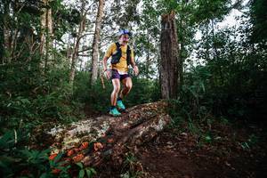 BIB: 
                            <button type="button" onclick="openModal(22368566)" class="btn btn-primary btn-sm float-right btn-popup" data-toggle="modal" data-target=".modal-high-quality">
                        <i class="fas fa-shopping-cart"></i> Add to Cart
                    </button>
                                            <button type="button" onclick="isThisMe(22368566, true)" class="btn btn-success btn-sm float-right btn-popup btn-isme hidden" data-toggle="tooltip" data-placement="bottom" title="นี่คือรูปของคุณใช่ไหม คลิกที่นี่เพื่อเอาเข้าอัลบั้ม">
                        <i class="fas fa-plus"></i> Add to album
                    </button>
                    <button type="button" onclick="isThisMe(22368566, false)" class="btn btn-warning btn-sm float-right btn-popup btn-isnotme hidden">
                        <i class="fas fa-ban"></i> Remove from album
                    </button>