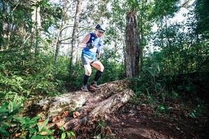 BIB: 
                            <button type="button" onclick="openModal(22367617)" class="btn btn-primary btn-sm float-right btn-popup" data-toggle="modal" data-target=".modal-high-quality">
                        <i class="fas fa-shopping-cart"></i> Add to Cart
                    </button>
                                            <button type="button" onclick="isThisMe(22367617, true)" class="btn btn-success btn-sm float-right btn-popup btn-isme hidden" data-toggle="tooltip" data-placement="bottom" title="นี่คือรูปของคุณใช่ไหม คลิกที่นี่เพื่อเอาเข้าอัลบั้ม">
                        <i class="fas fa-plus"></i> Add to album
                    </button>
                    <button type="button" onclick="isThisMe(22367617, false)" class="btn btn-warning btn-sm float-right btn-popup btn-isnotme hidden">
                        <i class="fas fa-ban"></i> Remove from album
                    </button>