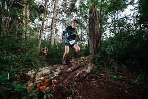 BIB: 8013
                            <button type="button" onclick="openModal(22368550)" class="btn btn-primary btn-sm float-right btn-popup" data-toggle="modal" data-target=".modal-high-quality">
                        <i class="fas fa-shopping-cart"></i> Add to Cart
                    </button>
                                            <button type="button" onclick="isThisMe(22368550, true)" class="btn btn-success btn-sm float-right btn-popup btn-isme hidden" data-toggle="tooltip" data-placement="bottom" title="นี่คือรูปของคุณใช่ไหม คลิกที่นี่เพื่อเอาเข้าอัลบั้ม">
                        <i class="fas fa-plus"></i> Add to album
                    </button>
                    <button type="button" onclick="isThisMe(22368550, false)" class="btn btn-warning btn-sm float-right btn-popup btn-isnotme hidden">
                        <i class="fas fa-ban"></i> Remove from album
                    </button>