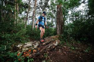 BIB: 
                            <button type="button" onclick="openModal(22368898)" class="btn btn-primary btn-sm float-right btn-popup" data-toggle="modal" data-target=".modal-high-quality">
                        <i class="fas fa-shopping-cart"></i> Add to Cart
                    </button>
                                            <button type="button" onclick="isThisMe(22368898, true)" class="btn btn-success btn-sm float-right btn-popup btn-isme hidden" data-toggle="tooltip" data-placement="bottom" title="นี่คือรูปของคุณใช่ไหม คลิกที่นี่เพื่อเอาเข้าอัลบั้ม">
                        <i class="fas fa-plus"></i> Add to album
                    </button>
                    <button type="button" onclick="isThisMe(22368898, false)" class="btn btn-warning btn-sm float-right btn-popup btn-isnotme hidden">
                        <i class="fas fa-ban"></i> Remove from album
                    </button>