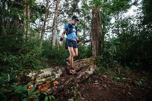 BIB: 
                            <button type="button" onclick="openModal(22368906)" class="btn btn-primary btn-sm float-right btn-popup" data-toggle="modal" data-target=".modal-high-quality">
                        <i class="fas fa-shopping-cart"></i> Add to Cart
                    </button>
                                            <button type="button" onclick="isThisMe(22368906, true)" class="btn btn-success btn-sm float-right btn-popup btn-isme hidden" data-toggle="tooltip" data-placement="bottom" title="นี่คือรูปของคุณใช่ไหม คลิกที่นี่เพื่อเอาเข้าอัลบั้ม">
                        <i class="fas fa-plus"></i> Add to album
                    </button>
                    <button type="button" onclick="isThisMe(22368906, false)" class="btn btn-warning btn-sm float-right btn-popup btn-isnotme hidden">
                        <i class="fas fa-ban"></i> Remove from album
                    </button>