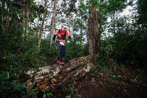 BIB: 
                            <button type="button" onclick="openModal(22369032)" class="btn btn-primary btn-sm float-right btn-popup" data-toggle="modal" data-target=".modal-high-quality">
                        <i class="fas fa-shopping-cart"></i> Add to Cart
                    </button>
                                            <button type="button" onclick="isThisMe(22369032, true)" class="btn btn-success btn-sm float-right btn-popup btn-isme hidden" data-toggle="tooltip" data-placement="bottom" title="นี่คือรูปของคุณใช่ไหม คลิกที่นี่เพื่อเอาเข้าอัลบั้ม">
                        <i class="fas fa-plus"></i> Add to album
                    </button>
                    <button type="button" onclick="isThisMe(22369032, false)" class="btn btn-warning btn-sm float-right btn-popup btn-isnotme hidden">
                        <i class="fas fa-ban"></i> Remove from album
                    </button>