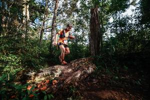 BIB: 
                            <button type="button" onclick="openModal(22367736)" class="btn btn-primary btn-sm float-right btn-popup" data-toggle="modal" data-target=".modal-high-quality">
                        <i class="fas fa-shopping-cart"></i> Add to Cart
                    </button>
                                            <button type="button" onclick="isThisMe(22367736, true)" class="btn btn-success btn-sm float-right btn-popup btn-isme hidden" data-toggle="tooltip" data-placement="bottom" title="นี่คือรูปของคุณใช่ไหม คลิกที่นี่เพื่อเอาเข้าอัลบั้ม">
                        <i class="fas fa-plus"></i> Add to album
                    </button>
                    <button type="button" onclick="isThisMe(22367736, false)" class="btn btn-warning btn-sm float-right btn-popup btn-isnotme hidden">
                        <i class="fas fa-ban"></i> Remove from album
                    </button>