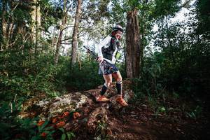 BIB: 
                            <button type="button" onclick="openModal(22368681)" class="btn btn-primary btn-sm float-right btn-popup" data-toggle="modal" data-target=".modal-high-quality">
                        <i class="fas fa-shopping-cart"></i> Add to Cart
                    </button>
                                            <button type="button" onclick="isThisMe(22368681, true)" class="btn btn-success btn-sm float-right btn-popup btn-isme hidden" data-toggle="tooltip" data-placement="bottom" title="นี่คือรูปของคุณใช่ไหม คลิกที่นี่เพื่อเอาเข้าอัลบั้ม">
                        <i class="fas fa-plus"></i> Add to album
                    </button>
                    <button type="button" onclick="isThisMe(22368681, false)" class="btn btn-warning btn-sm float-right btn-popup btn-isnotme hidden">
                        <i class="fas fa-ban"></i> Remove from album
                    </button>