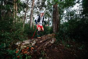 BIB: 
                            <button type="button" onclick="openModal(22368603)" class="btn btn-primary btn-sm float-right btn-popup" data-toggle="modal" data-target=".modal-high-quality">
                        <i class="fas fa-shopping-cart"></i> Add to Cart
                    </button>
                                            <button type="button" onclick="isThisMe(22368603, true)" class="btn btn-success btn-sm float-right btn-popup btn-isme hidden" data-toggle="tooltip" data-placement="bottom" title="นี่คือรูปของคุณใช่ไหม คลิกที่นี่เพื่อเอาเข้าอัลบั้ม">
                        <i class="fas fa-plus"></i> Add to album
                    </button>
                    <button type="button" onclick="isThisMe(22368603, false)" class="btn btn-warning btn-sm float-right btn-popup btn-isnotme hidden">
                        <i class="fas fa-ban"></i> Remove from album
                    </button>