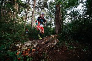 BIB: 
                            <button type="button" onclick="openModal(22368406)" class="btn btn-primary btn-sm float-right btn-popup" data-toggle="modal" data-target=".modal-high-quality">
                        <i class="fas fa-shopping-cart"></i> Add to Cart
                    </button>
                                            <button type="button" onclick="isThisMe(22368406, true)" class="btn btn-success btn-sm float-right btn-popup btn-isme hidden" data-toggle="tooltip" data-placement="bottom" title="นี่คือรูปของคุณใช่ไหม คลิกที่นี่เพื่อเอาเข้าอัลบั้ม">
                        <i class="fas fa-plus"></i> Add to album
                    </button>
                    <button type="button" onclick="isThisMe(22368406, false)" class="btn btn-warning btn-sm float-right btn-popup btn-isnotme hidden">
                        <i class="fas fa-ban"></i> Remove from album
                    </button>