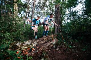 BIB: 
                            <button type="button" onclick="openModal(22367591)" class="btn btn-primary btn-sm float-right btn-popup" data-toggle="modal" data-target=".modal-high-quality">
                        <i class="fas fa-shopping-cart"></i> Add to Cart
                    </button>
                                            <button type="button" onclick="isThisMe(22367591, true)" class="btn btn-success btn-sm float-right btn-popup btn-isme hidden" data-toggle="tooltip" data-placement="bottom" title="นี่คือรูปของคุณใช่ไหม คลิกที่นี่เพื่อเอาเข้าอัลบั้ม">
                        <i class="fas fa-plus"></i> Add to album
                    </button>
                    <button type="button" onclick="isThisMe(22367591, false)" class="btn btn-warning btn-sm float-right btn-popup btn-isnotme hidden">
                        <i class="fas fa-ban"></i> Remove from album
                    </button>